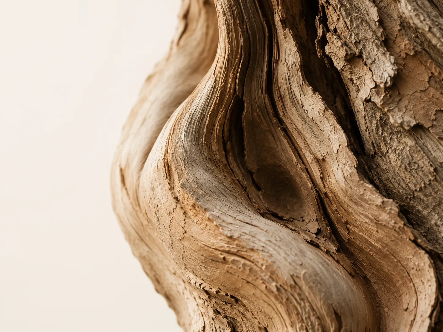 Fine Lines