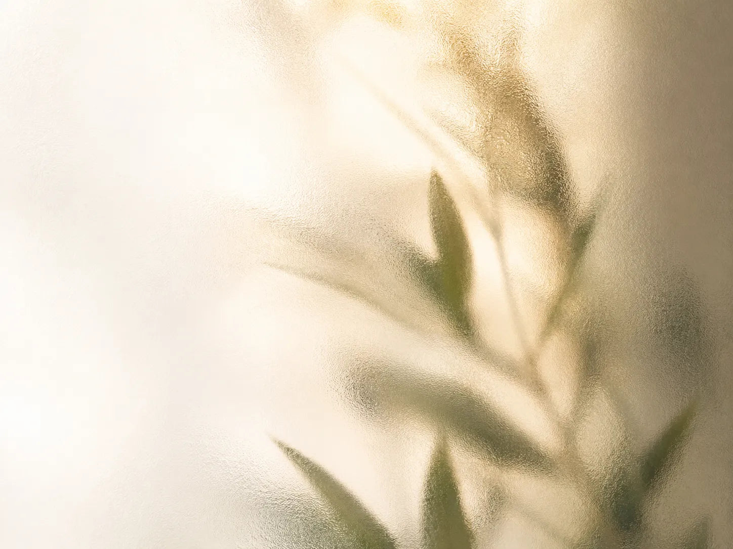 Dull Skin